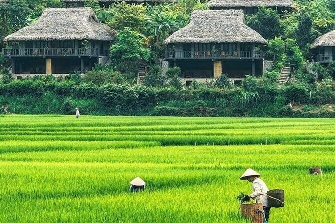 Mai Chau Full Day Shared Group Tour - Practical Considerations