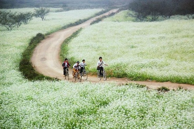 Mai Chau Full Day Tour From Hanoi - Cultural Experiences