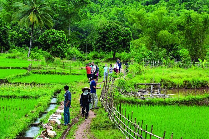 Mai Chau Getaway 1 Day From Hanoi - Small Group - Limousine Bus - Itinerary