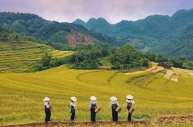 Mai Chau Hidden Treasures with Cycling Culture and Cave Wonders - FAQs  