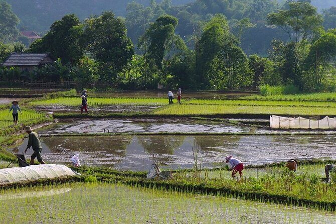 Mai Chau Hidden Valley Immersion: Classic 2D1N from Hanoi - FAQs