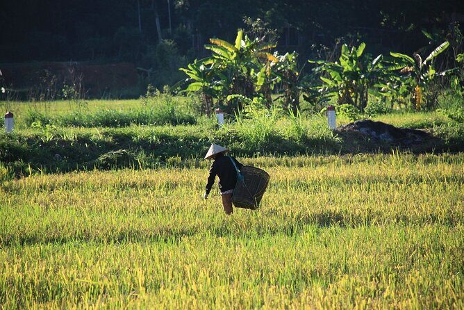 Mai Chau Hidden Valley Immersion: Classic 2D1N from Hanoi - A Detailed Look at the Mai Chau Hidden Valley Immersion