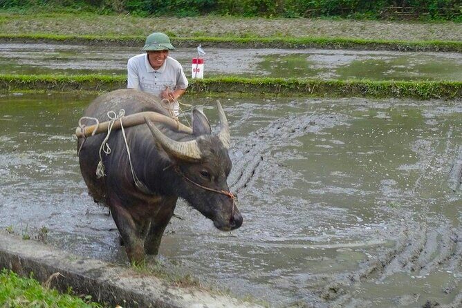 Mai Chau Hidden Valley Immersion: Classic 2D1N from Hanoi - Practical Tips for Travelers