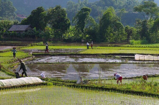 Mai Chau in 1 Day: Cycle Through Vietnams Peaceful Villages - FAQs
