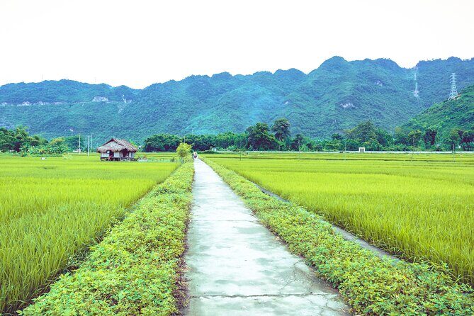 Mai Chau Nature Day Trip Hidden Charm & Minorities Village - FAQ