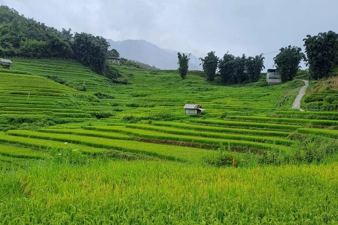 Mai Chau - Pu Luong 2 Days 1 Night - Cultural Experiences and Activities