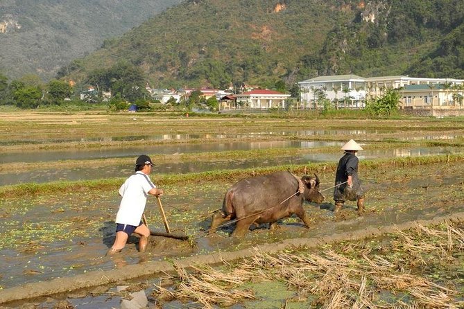 Mai Chau Pu Luong 2 Days 1 Night From Hanoi - Important Information and Safety