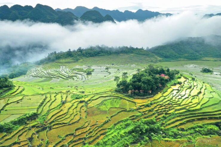 Mai Chau Pu Luong Ninh Binh Tour 4 Days 3 Nights - Tour Itinerary Details