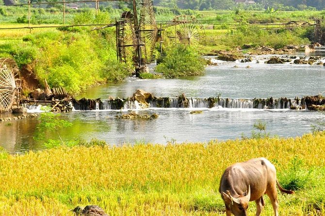 Mai Chau - Pu Luong Trekking 3 Days 2 Nights - Important Information and Tips