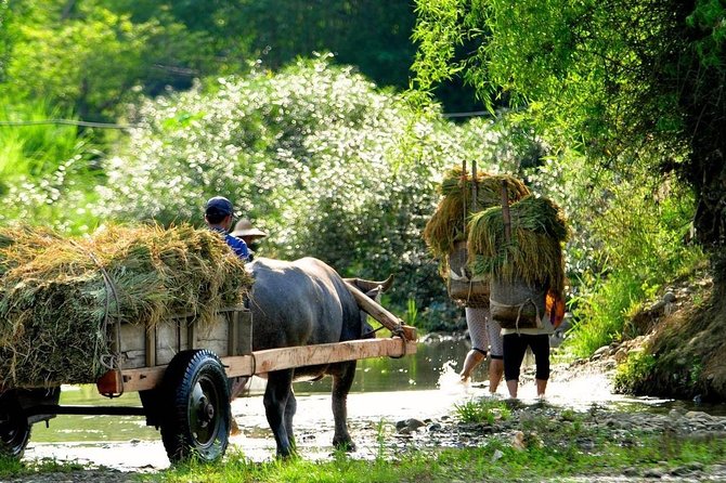 Mai Chau - Pu Luong Trekking 3 Days 2 Nights - The Sum Up