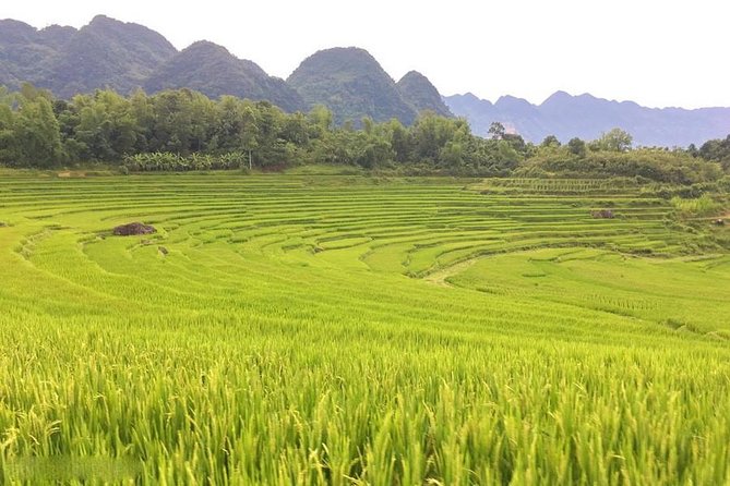 Mai Chau Puluong 3Day Private Tour Terraced Rice Fields, Trekking - Inclusions