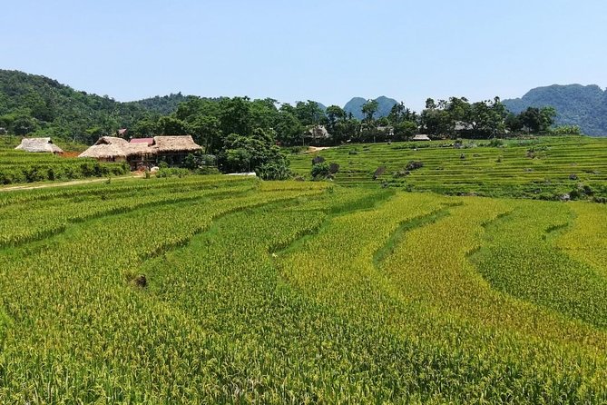 Mai Chau Puluong 3Day Private Tour Terraced Rice Fields, Trekking - Common Questions