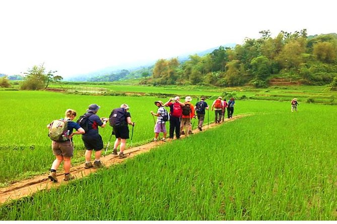 Mai Chau - Puluong Nature Reserve Trek 2 Days 1 Night - Local Guides and Cultural Experiences