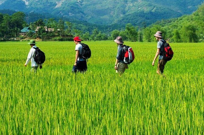 Mai Chau to Pu Luong 3-Day Tour from Hanoi - FAQs