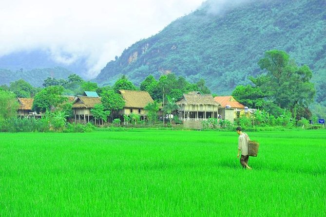 Mai Chau Tours Full Day - 1 Day Trip From Hanoi With Special Offer - Overview and Itinerary