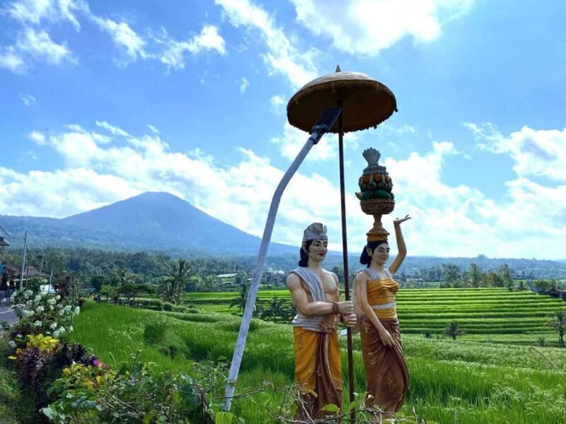 Mai Organic Farm Tour + Cooking Class - A Closer Look at the Mai Organic Farm Tour + Cooking Class