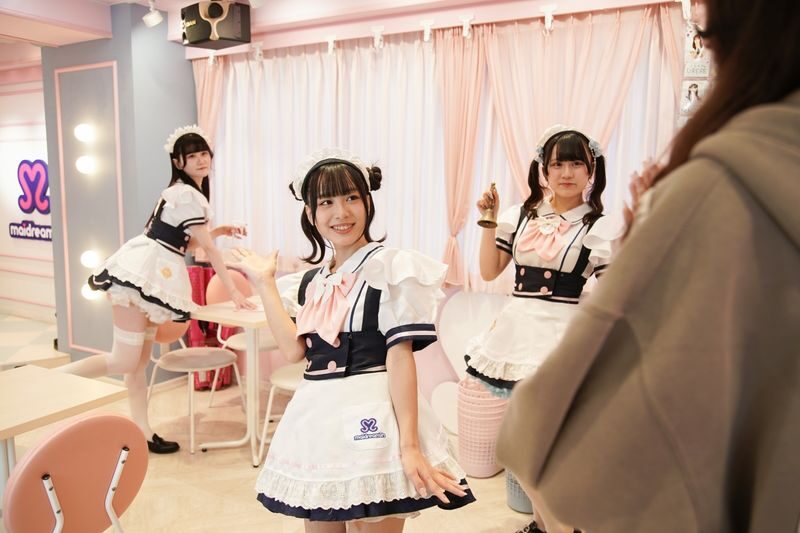 Maid cafe experience Maidreamin (Hokkaido) - Who Should Book Maidreamin?