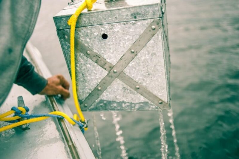 Maine: Belfast Family Treasure Hunt - The Treasure Hunt Itinerary