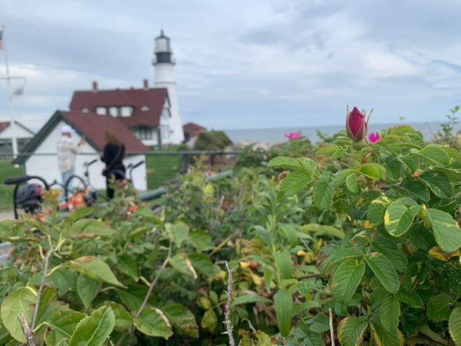 Maine Coast: Bicycle Rentals - Location and Accessibility
