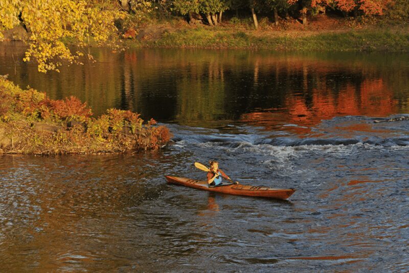 Maine: Full or Half-Day Single Kayak Rental - Who Is This Experience Best Suited For?