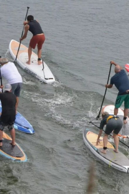 Maine: Half-Day Paddleboard Rental - What to Bring and Restrictions