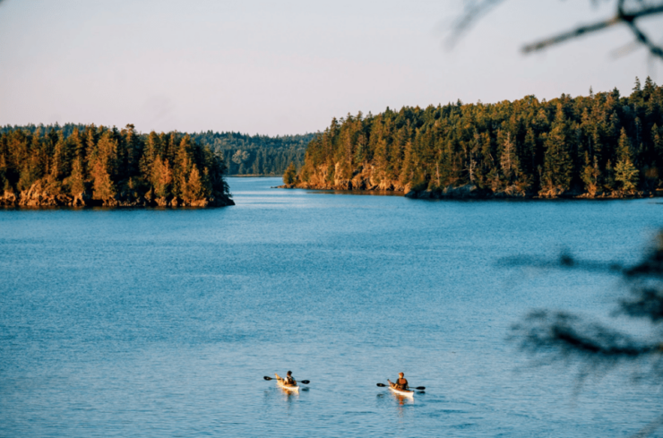 Maine: Half-Day Single Kayak Rental - Good To Know