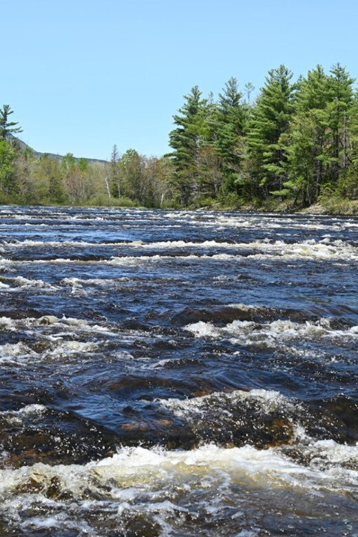 Maine: Penobscot Downriver Boat Rides - What’s Included and What to Consider