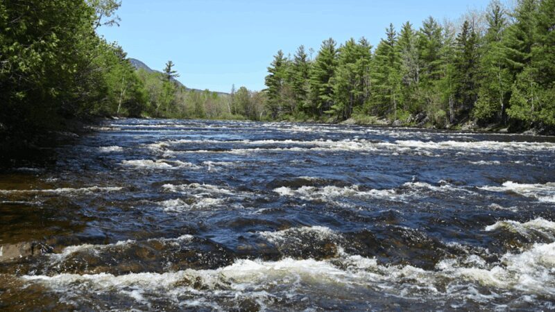 Maine: Penobscot Downriver Boat Rides - Who Would Love This Experience?