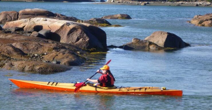 Maine: Penobscot River Guided Kayaking Tour - Good To Know
