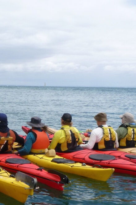Maine: Penobscot River Guided Kayaking Tour - Customer Reviews