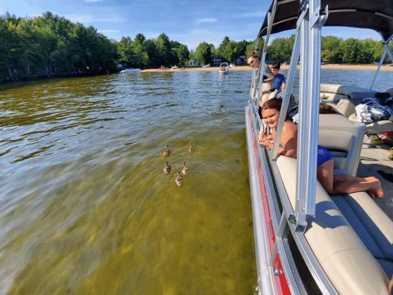 Maine: Penobscot River Private Charter Boat Ride - Exploring the Penobscot River Private Charter