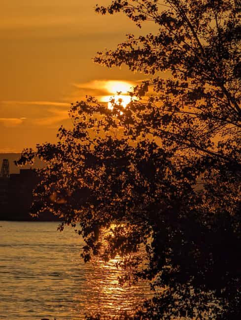 Mainz: guided evening tour of the Rhine riverbank/old town in German and English - Good To Know