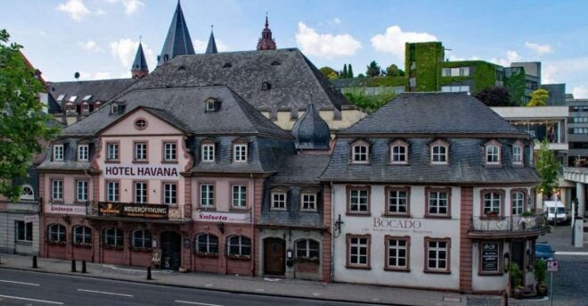 Mainz: Private Walking Tour With Professional Guide - Full Description