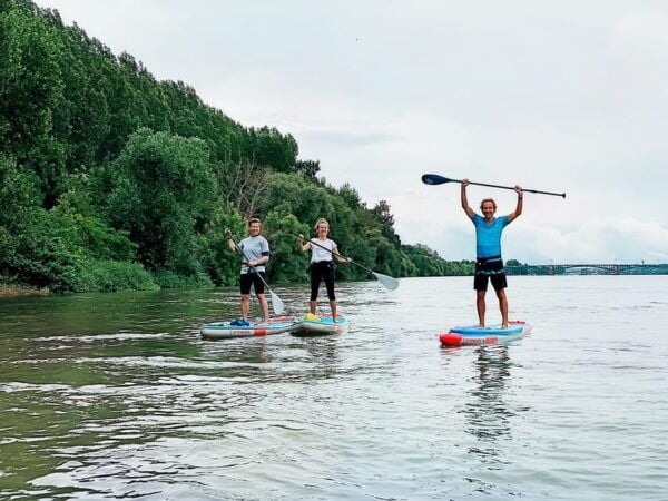 Mainz: Stand Up Paddling Tour on the Rhine River - Ideal Conditions for Paddling