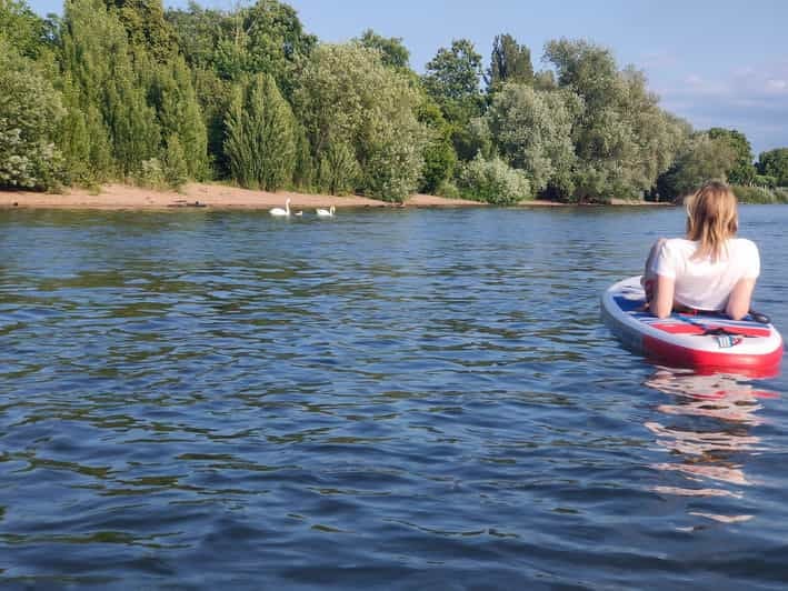 Mainz: Stand Up Paddling Tour on the Rhine River - Booking and Cancellation Policy