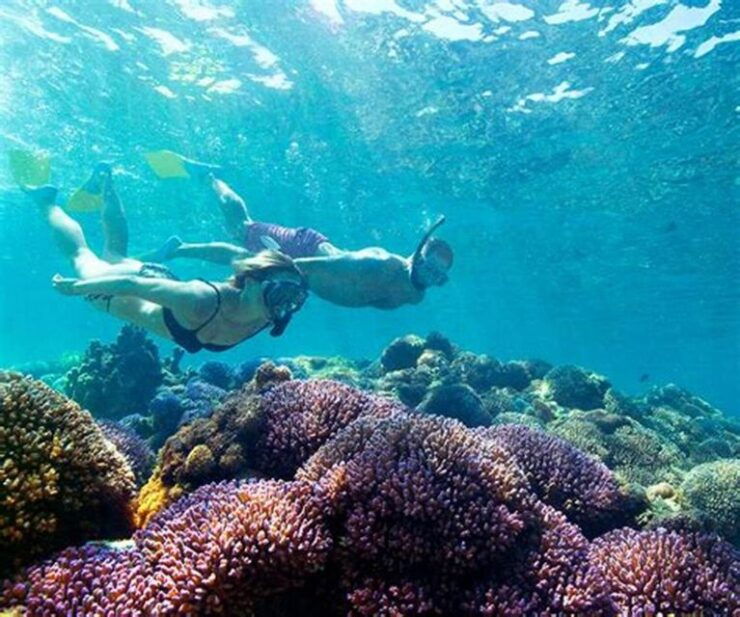 Maio: Reef Snorkeling - Good To Know
