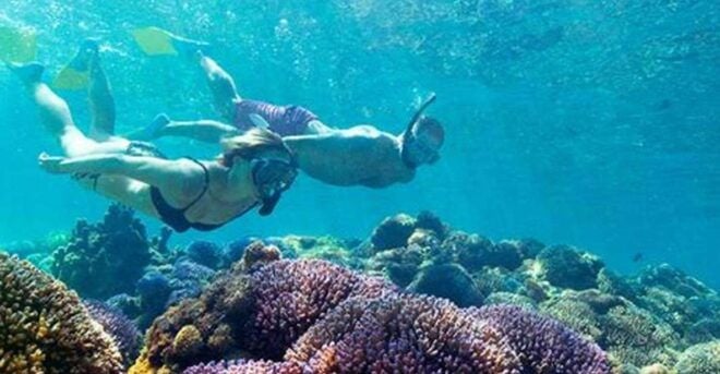 Maio: Reef Snorkeling - Booking Information