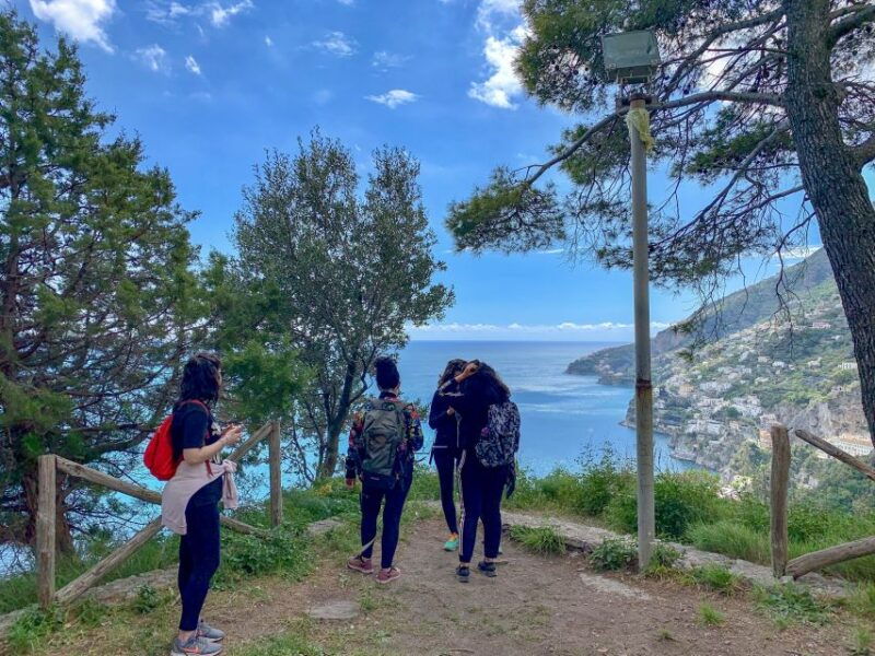 Maiori: Amalfi Coast Path of the Lemon private walking tour - Who Should Consider This Tour?