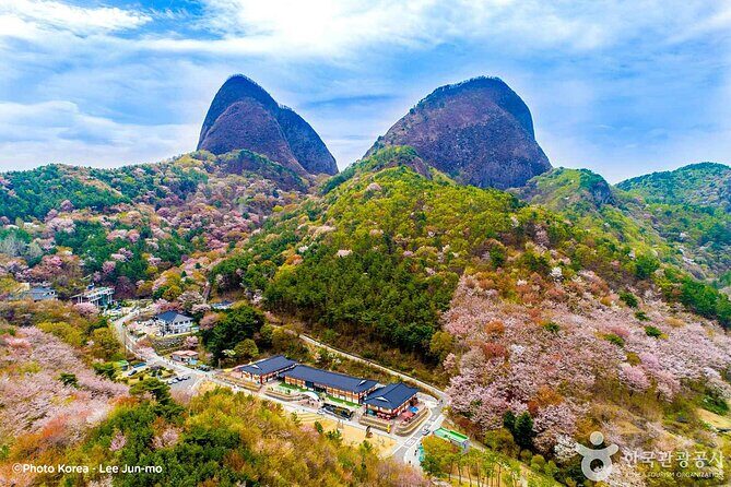 Maisan Cherry Blossom and Jeonju Hanok Village - Introduction