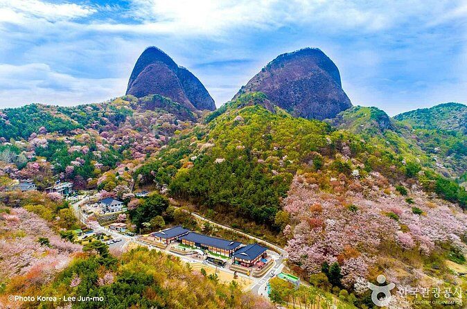 Maisan Cherry Blossom and Jeonju Hanok Village - Final Thoughts: Who Is This Tour For?