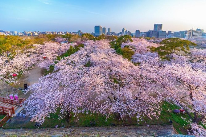 Maizuru Half-Day Private Tour With Government-Licensed Guide - Common Questions