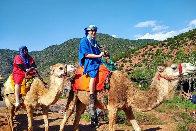 Majestic Atlas Mountains & Berber Villages Day Trip From Marrakech - Traveler Reviews