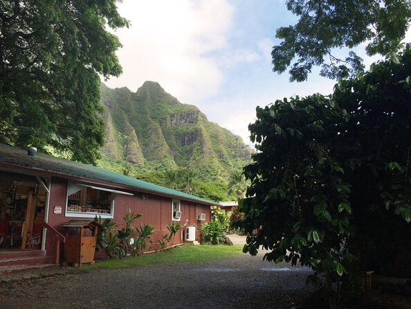 Majestic Circle Island Eco Tour From Waikiki - Meeting and Pickup Information