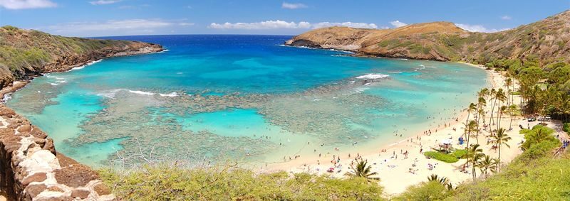 Majestic Circle Oahu Island Day Tour in Hawaii - What makes this Oahu circle tour worthwhile