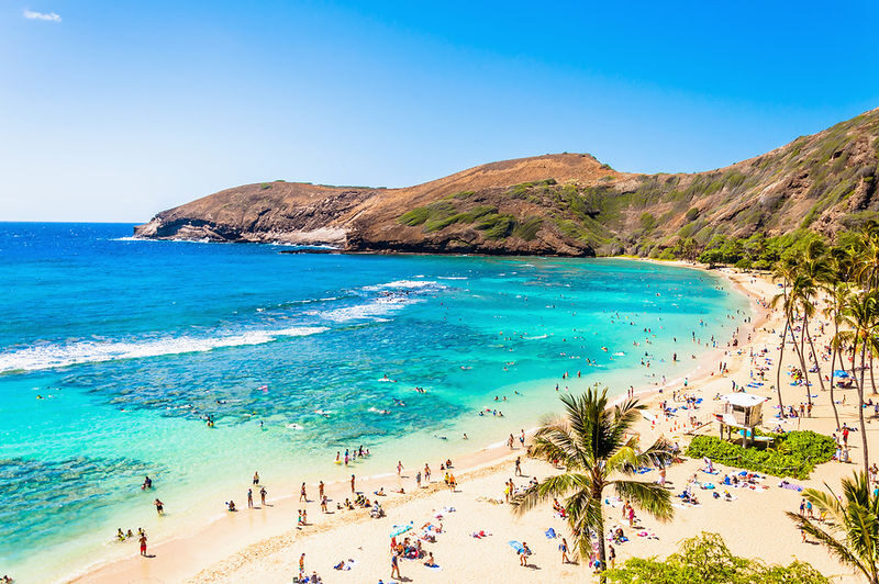 Majestic Circle Oahu Island Day Tour in Hawaii - Pali views, macadamia treats, and a route caveat