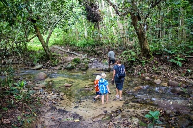 Majestic Falls & Dunes : Private Group Excursion From Nadi - Pricing and Reservation