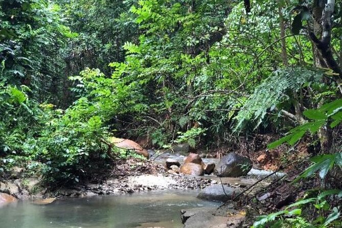 Majestic Falls & Dunes : Private Group Excursion From Nadi - The Sum Up