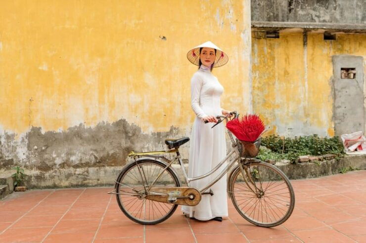 Majestic Full-Day Private Tour: Hoi An to Hue City - Experience and Activities