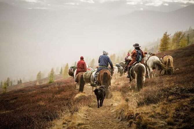 Majestic Gobi Desert with overnight in Terelj NP (incl. Chinggis Khan Statue) - Who Is This Tour Best For?