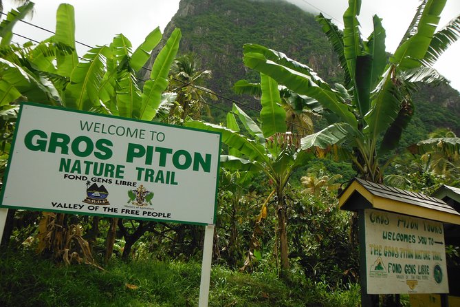 Majestic Gros Piton Hike - Price and Booking Details
